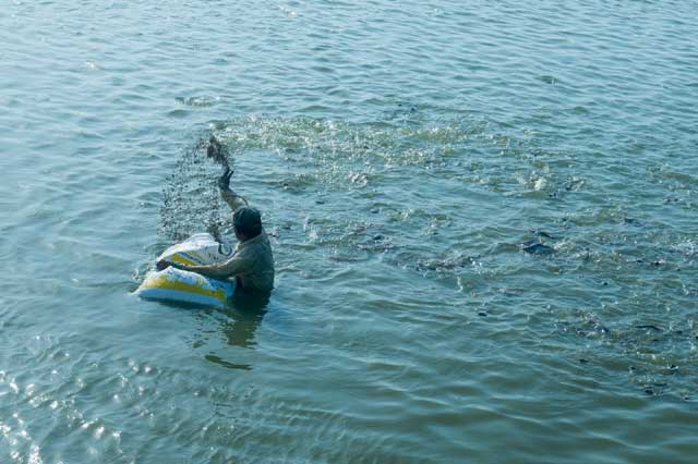 State Fisheries Development Corporation Ltd. (SFDC)